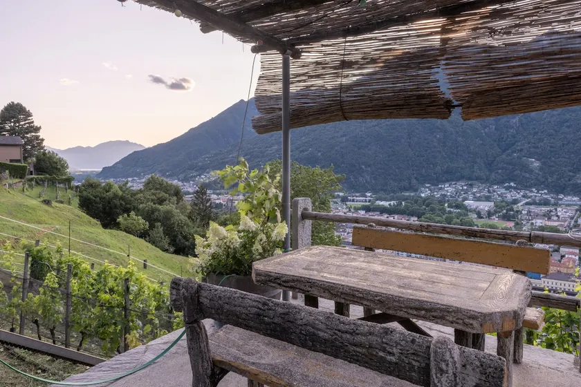 Little Oasis Among Vineyards - Image 1