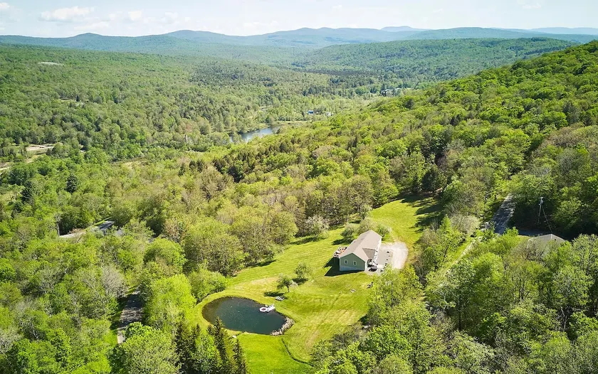 Catskills Swim & Kayak Pond + Hot Tub on 20 Acres - Image 1