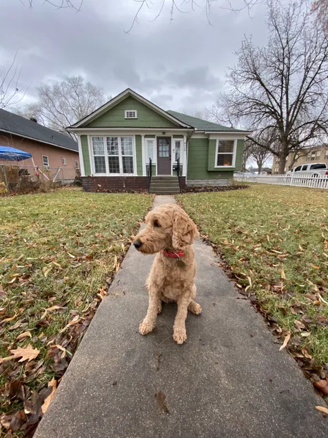 Cafe Ole Family Bungalow! - Image 1