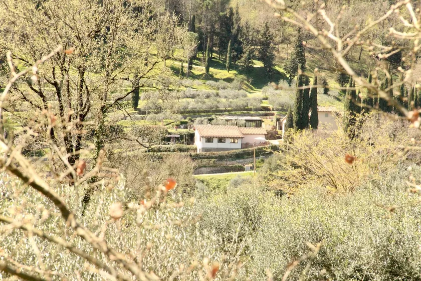 Podere Il Palatoio, experience the real Tuscany - Image 1