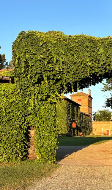 Agriturismo Palazzo Minelli - Apt n.9 - Image 1