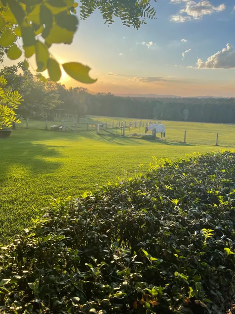'Edenview' - 6 BR Hunter Valley Farm Stay on 5 Acres / Group Getaway - Image 1