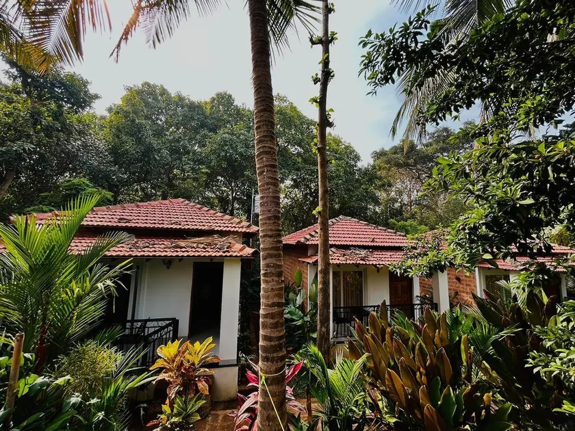 Premium Luxe Cottage Assagao! 10 min to Vagator - Image 1