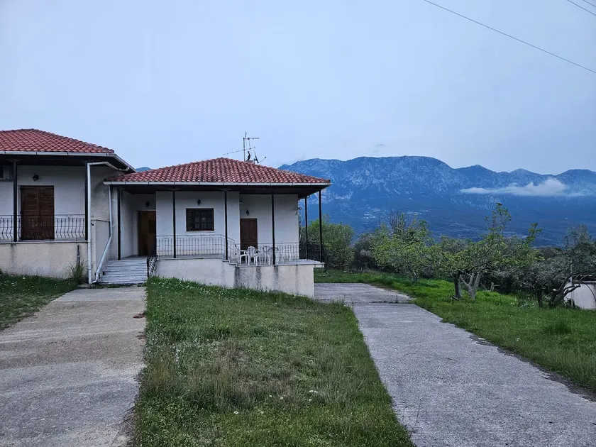 Olive grove with a view - Image 1