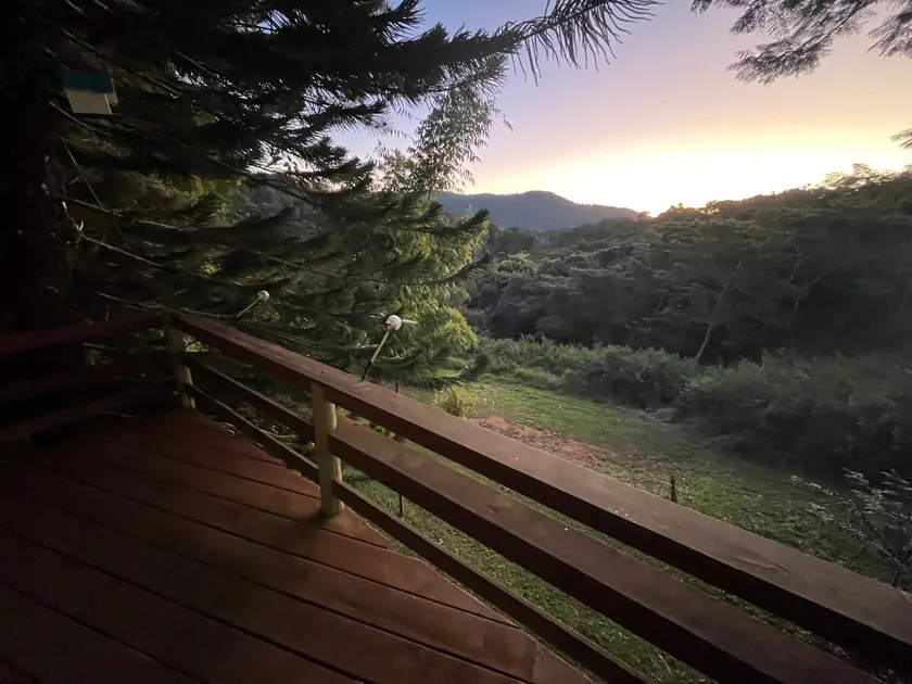 Eungella tree house - Image 1