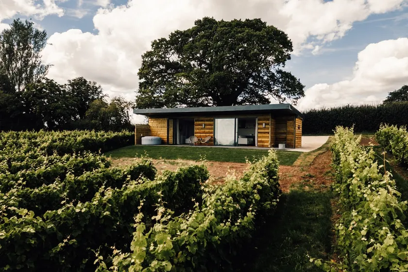 Hector Lodge Vineyard stay w/Hot Tub - Image 1