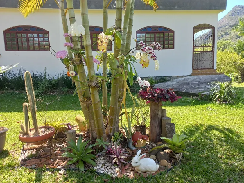 Nadai's Place Entire country house - Image 1