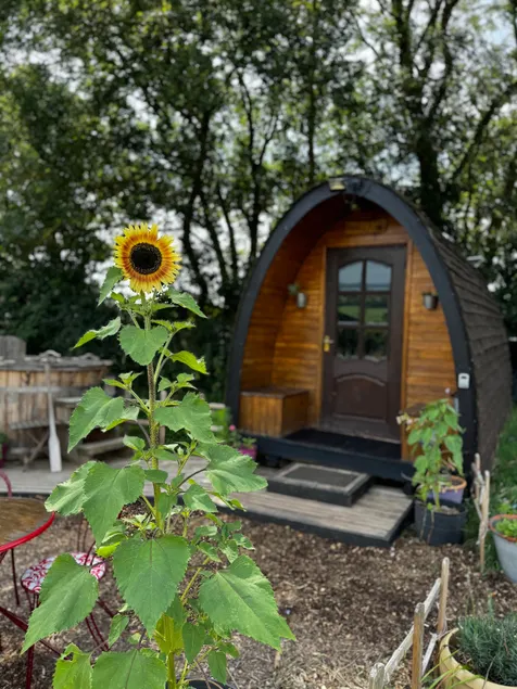 The Cabin at Axe View Hideout (hot tub stay) - Image 1