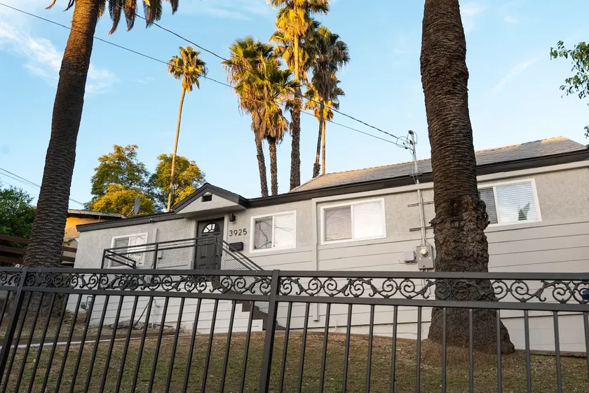 House of Palms - Image 1
