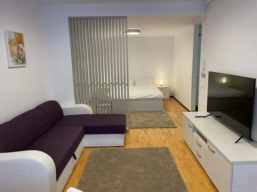 Nicole Apartments Sinaia - Image 1