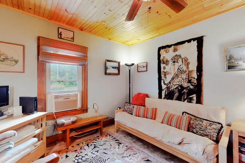 2BR lakefront house w/ amazing views, dock & dogs - Image 1