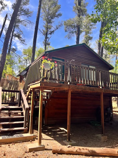 Cozy Bear Cabin #4 - Image 1