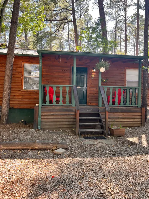 Cozy Bear Cabin #6 - Image 1
