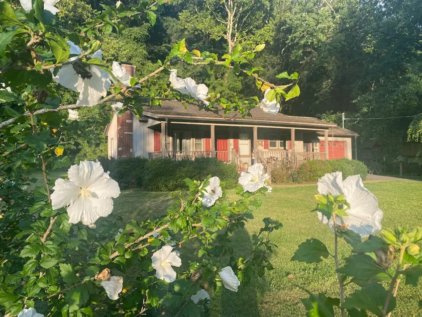 Greenbrier River Cottage - Image 1