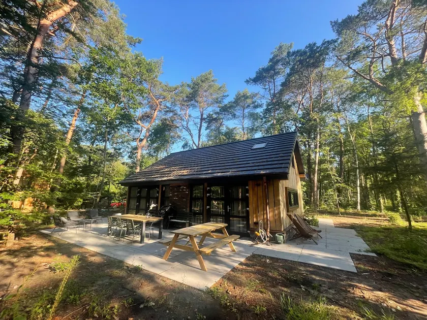 Natuurhuus: Lovely house in its own piece of forest - Image 1