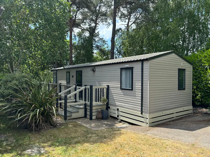 Peaceful lodge in private woodland setting - Image 1