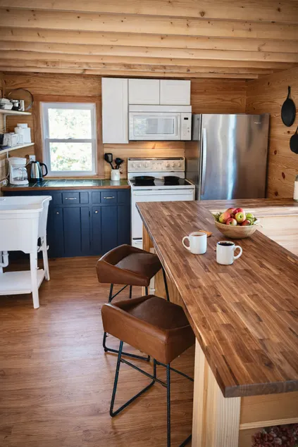 Private River Cabin on Lower Ocoee by boat launch - Image 1
