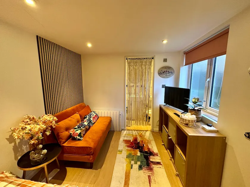 Studio garage conversion - Image 1