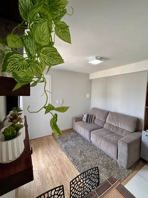 Life Park Simões Lopes 5 min from Downtown with parking space - Image 1
