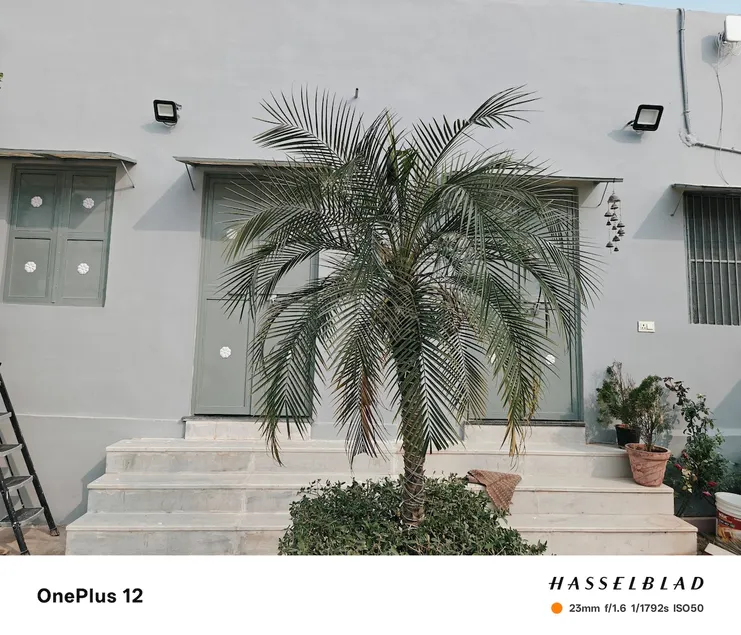Entire Villa sindhi villa 2rooms 2beds 2 bathroom - Image 1