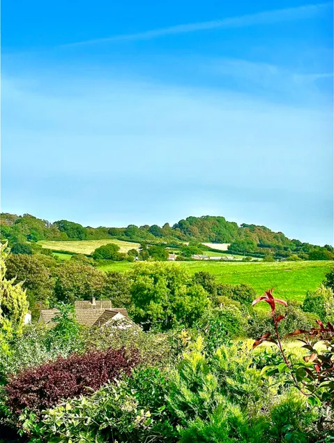 Renovated Country Cottage with Stunning Views - Image 1