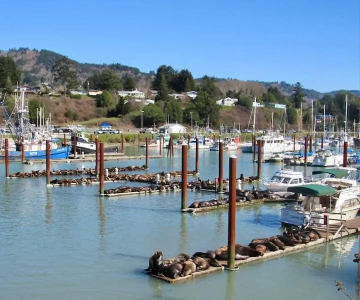 HarborLite Luxury Lodging At The PORT *WALK-2-DOCK - Image 1