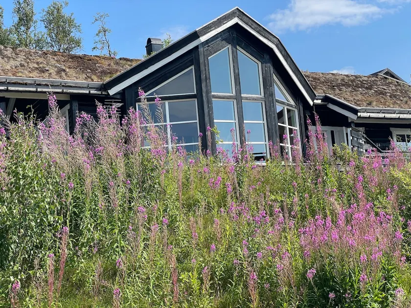 Idahytta, nice family cabin. - Image 1