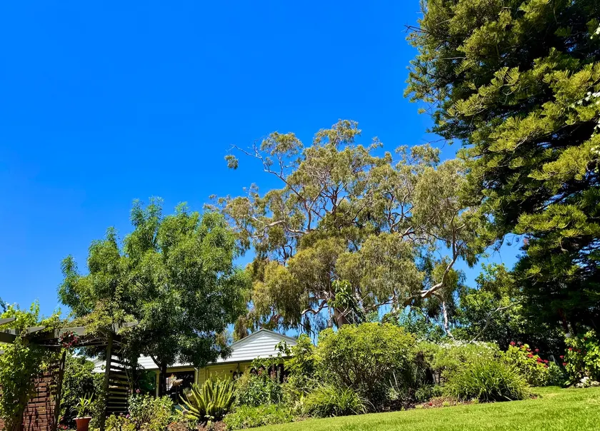Garden cottage - Image 1
