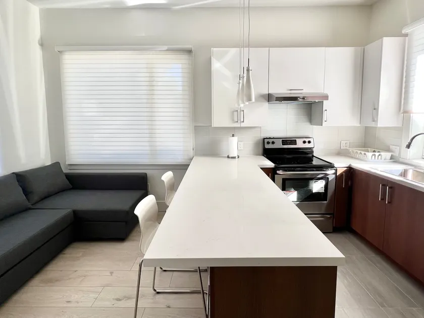 Brand New Modern Laneway House - Image 1