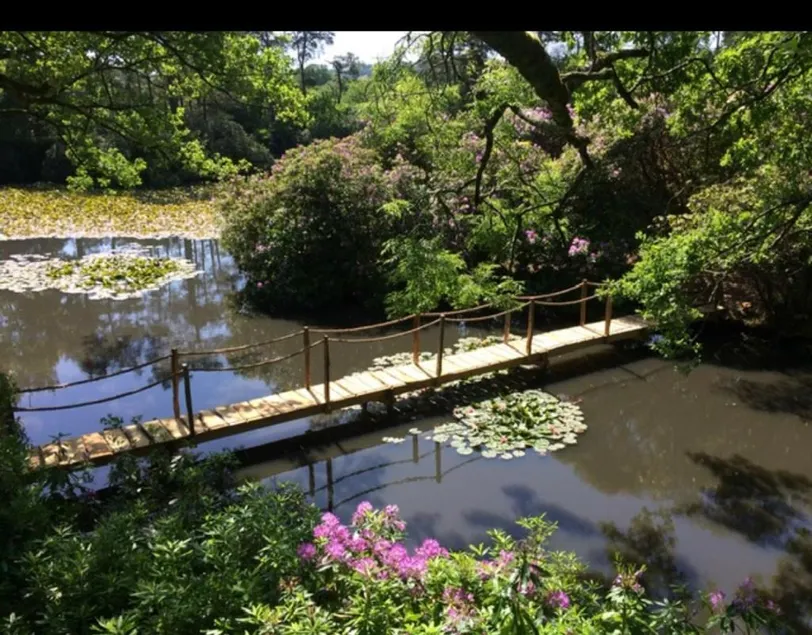 Island Retreat - Image 1