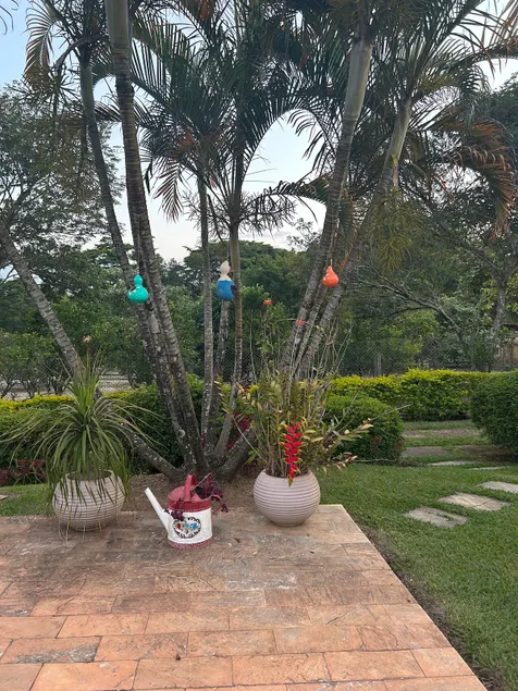 Sítio.Leisure, rest and tranquility-Moeda - Image 1