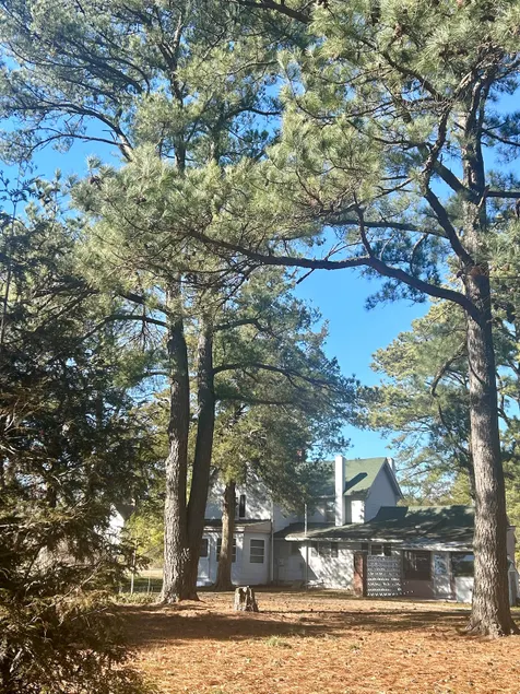 Ye Ole Pirate House - Image 1