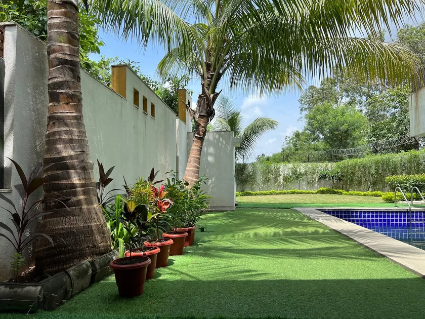 Escape to Peaceful Environment - Image 1