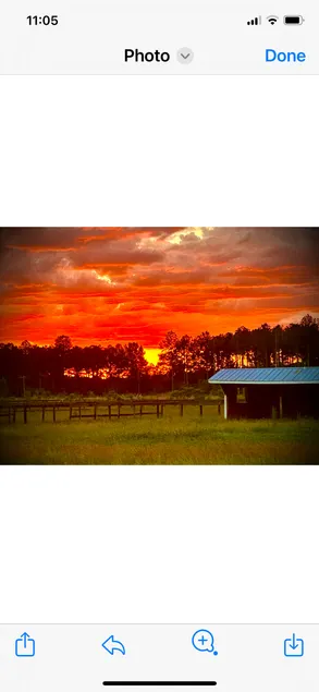Pear Tree Farm-pets welcome! Stables/paddocks too! - Image 1