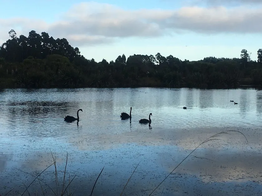 Calm Swan Villa - Image 1