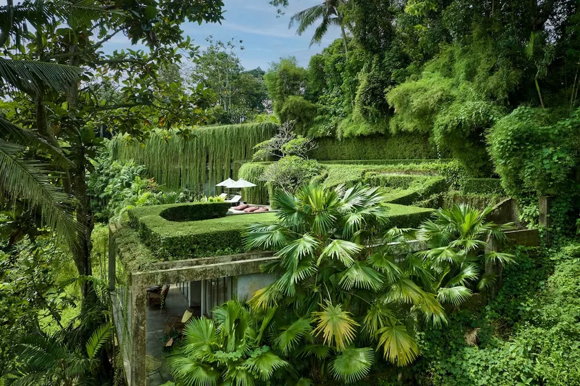 Peaceful river and jungle views, 6 bedrooms, close to beaches. - Image 1