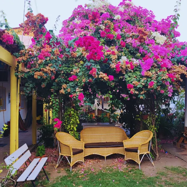 Cozy Guesthouse in Soure - Image 1