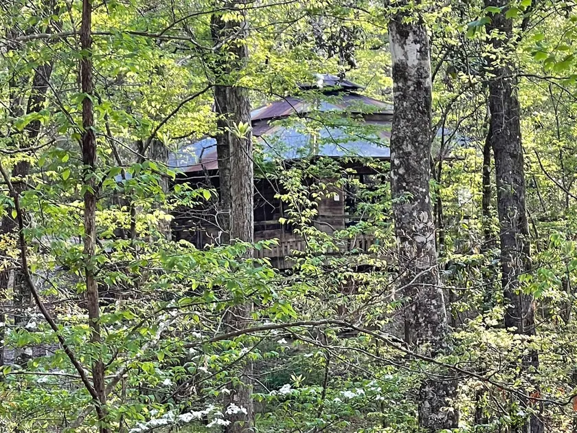 Fallen Treehouse pet-friendly near NOLA - Image 1