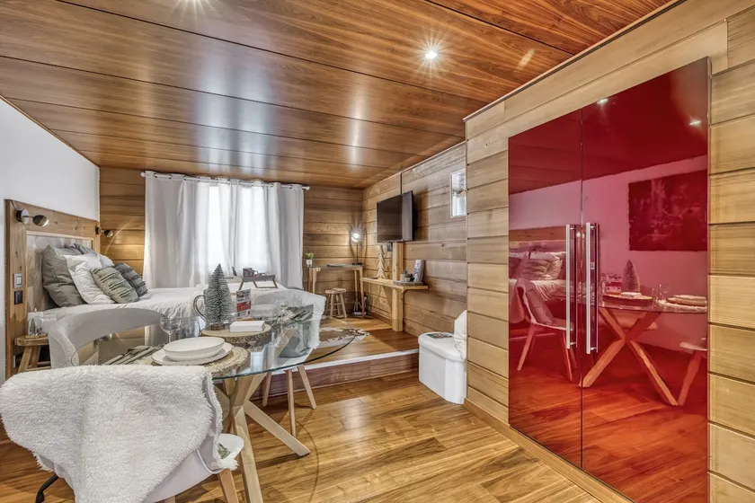 Loft | Balneo jacuzzi tub | AC | Annecy - Image 1