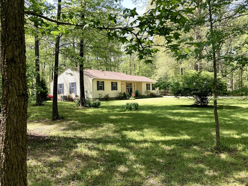 Cozy 2 bedroom home on wooded private lane - Image 1