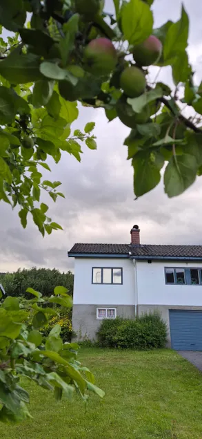 Forest, great beach, right next to the city center and golf course. - Image 1