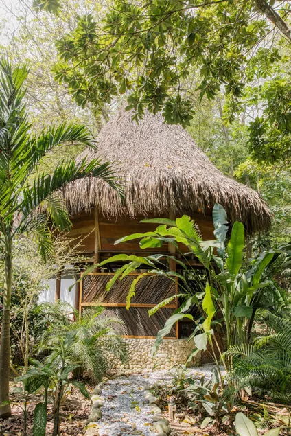 Bungalow in boutique hotel - Image 1