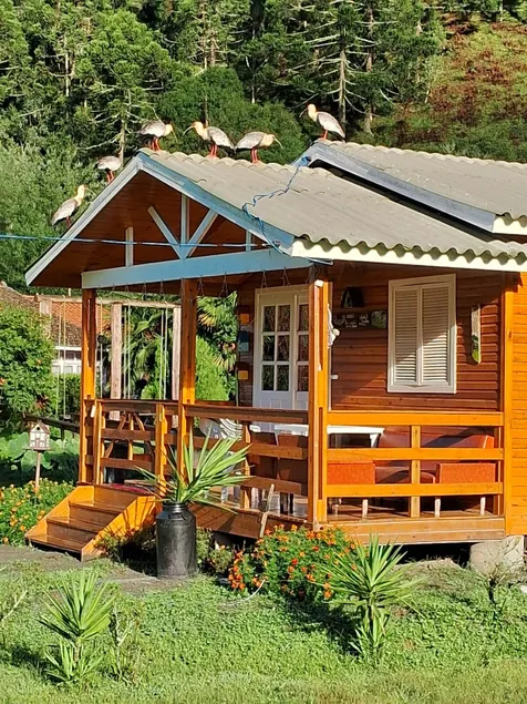 love nest - Image 1