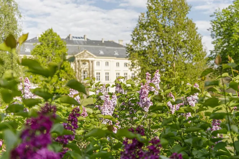 Premium Family apartment in Gustav Seitz guest house - Image 1
