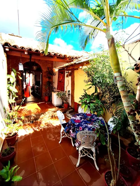 La Casita del Sol Free Wi-Fi solar panel plant - Image 1