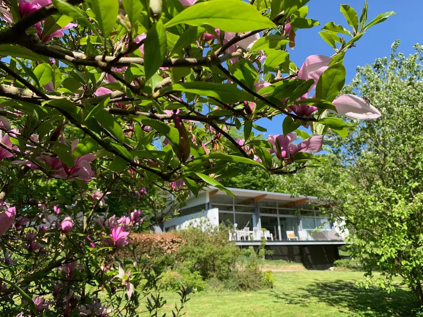 Architect's house in the heart of nature - Image 1