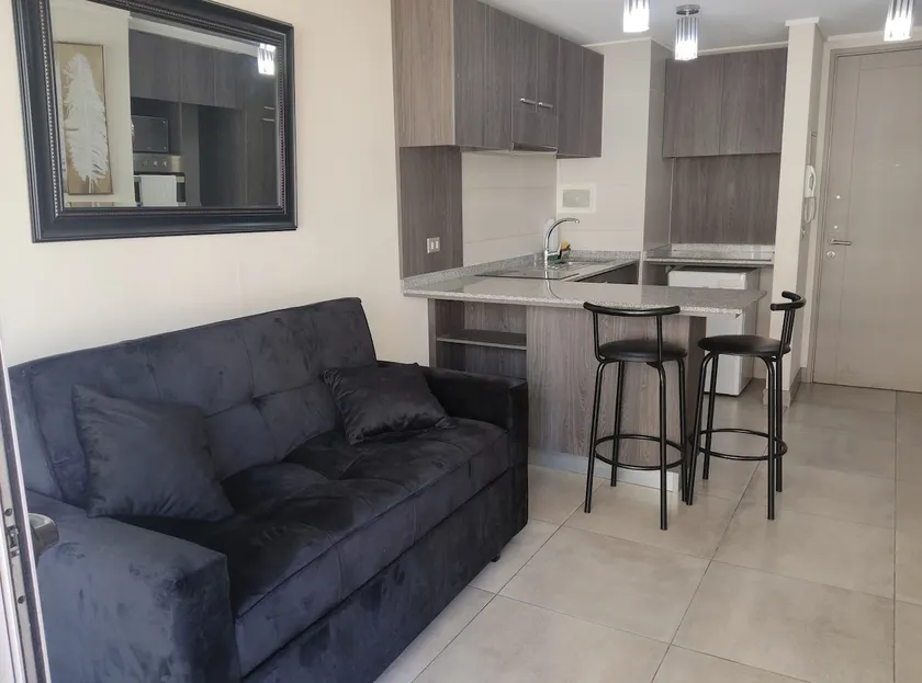 One-bedroom apartment +1 bathroom + sofa bed - Image 1