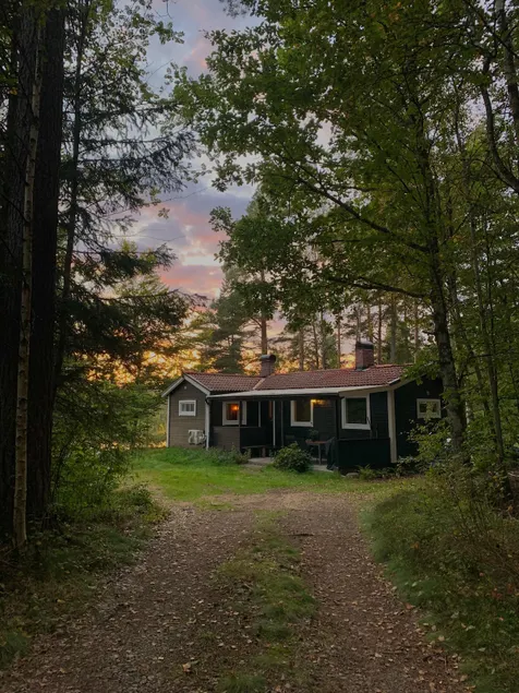 The calm by the lakes in the woods of Vittsjö - Image 1