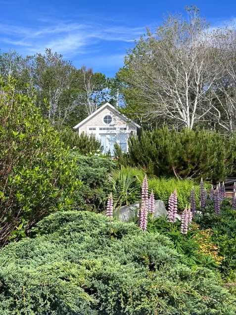 Elegant Private Summerville-Beachfront Retreat - Image 1