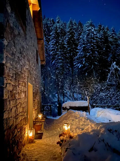 Beautiful apartment in Alpine Chalet - Image 1